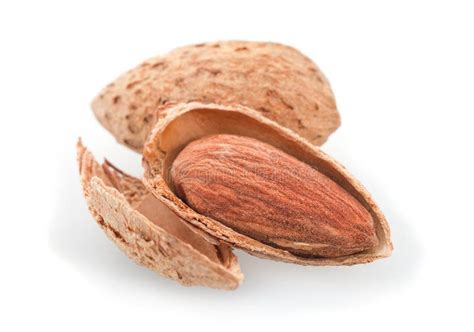 Roasted almond nut stock image. Image of almond, fruit - 27485181