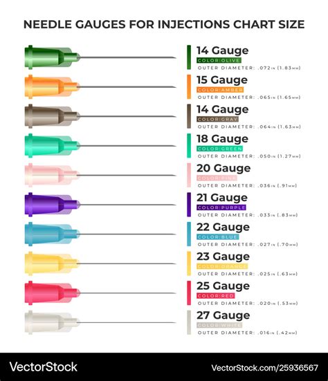 Needle gauges for injections chart size Royalty Free Vector