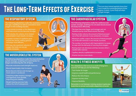 Buy The Long-Term Effects of Exercise | PE s | Laminated Gloss Paper ...