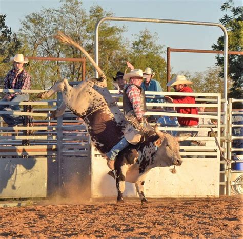 Pin by Paul Hixson on Bullriding 2015 | Bull riding, Rodeo life, Bull