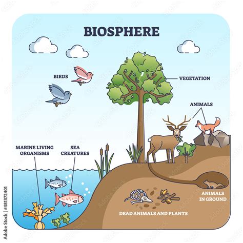 Biosphere and natural habitat division for living creatures outline ...