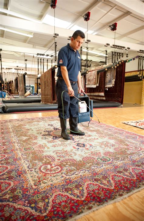 Home | Oriental Rug Cleaning Boston, Rug Repair, Pet Odor Control Place