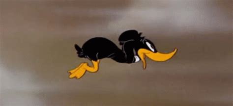 Looney Tunes Daffy Duck GIF - Looney Tunes Daffy Duck Flying - Discover ...