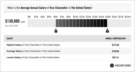 Vice Chancellor Salary (Actual 2023 | Projected 2024) | VelvetJobs