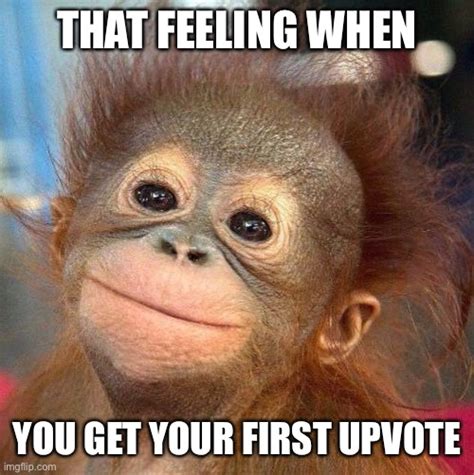 Monkey Smiling Meme