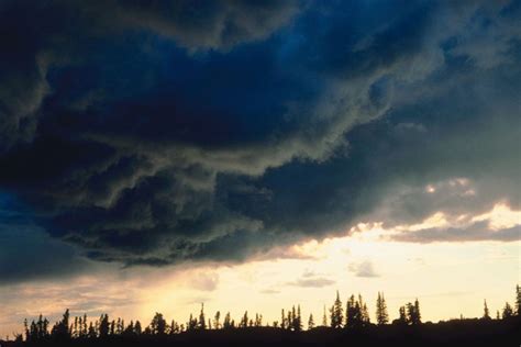 Nimbus, Cumulonimbus, Nimbostratus, and Fog - Tree House Weather Kids ...