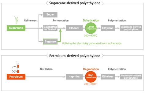 Sugarcane-derived Polyethylene | Environment | Sustainability ...