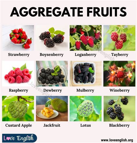 Aggregate Fruit Names | List of 20+ Aggregate Fruits with their ...