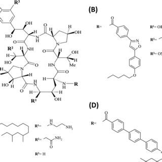 Pharmacokinetics of Echinocandins in Humans | Download Table