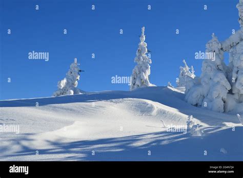 Hiking adventure on Hojta, Bjelasnica mountain Stock Photo - Alamy