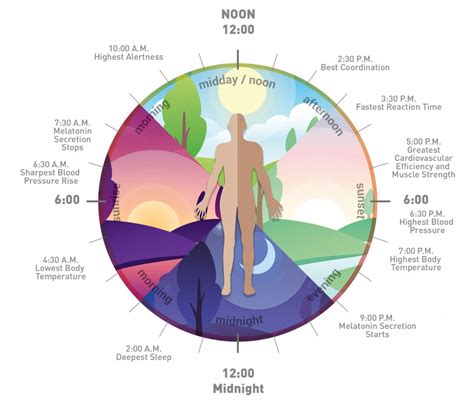 Tunable white lighting effects on circadian rhythm - Loxone Blog