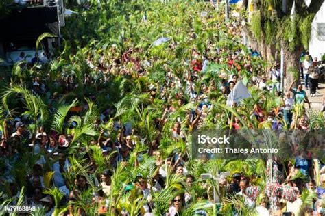 Crowds Of Catholic Worshipers Wave Palm Branches During The Palm Sunday ...