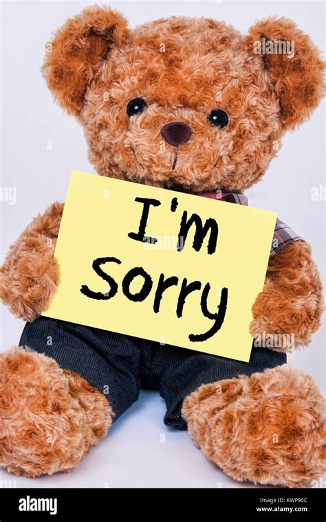 Cute teddy bear holding a yellow sign that reads I"m Sorry isolated on ...