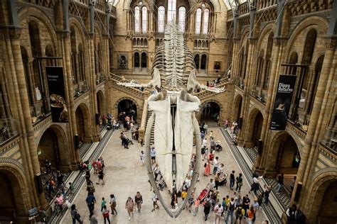 London’s Natural History Museum Has Apologized for Renting Its Space to ...