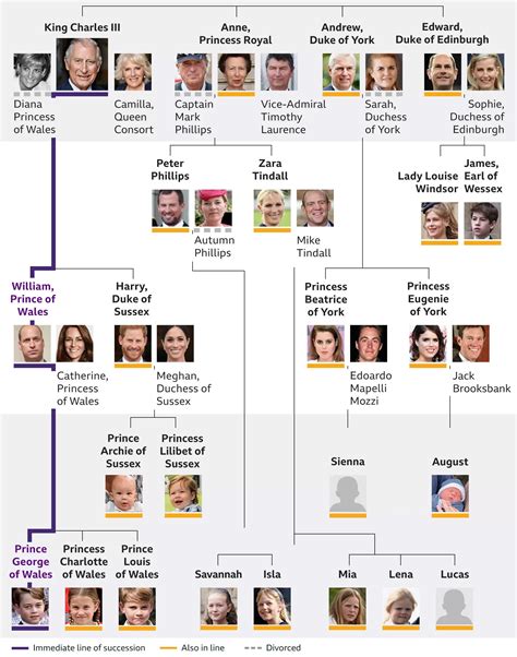 Royal Family Tree: Who is the next in line to the throne after King ...