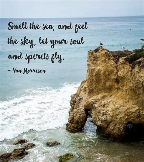 205+ Remarkable Beach Quotes & Captions That Inspire You - BayArt