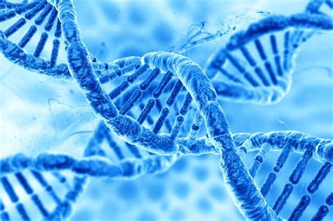 Different types of genetic diseases for humans | Basir Eye Center