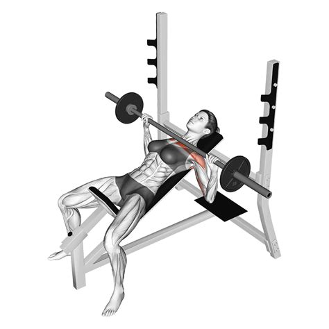 6 Incline Dumbbell Press Alternatives (With Pictures) - Inspire US