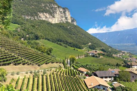 Alto Adige Wine Summit 2021: great white wines and unparalleled diversity