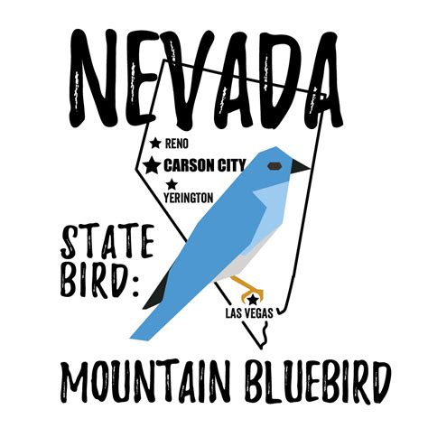 Nevada State Bird - Bird Watching Academy