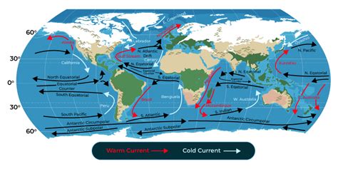 Ocean Currents Map For Kids