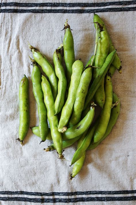 Grilled Fava Beans – HonestlyYUM