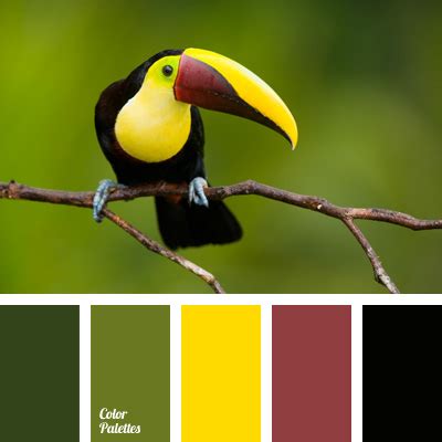 color of toucan’s beak | Color Palette Ideas