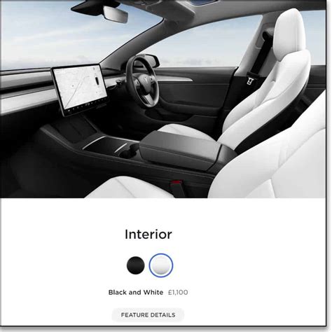 Tesla Model 3 White Interior Review | Cabinets Matttroy