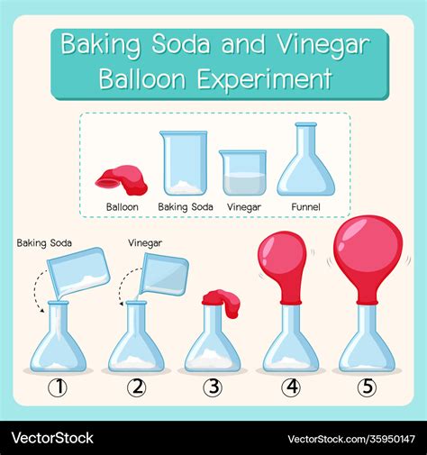 Science experiment with baking soda and vinegar Vector Image