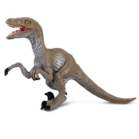 Collecta Velciraptor Dinosaur Model