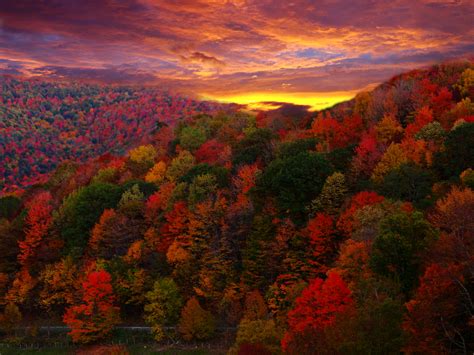 Country Road Autumn Mountain Sunset | Mountain Views| Free Nature ...