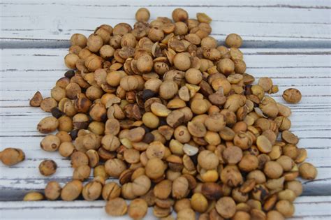 Whole Roasted Soybeans (50 lb)