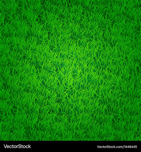 Green Grass Background