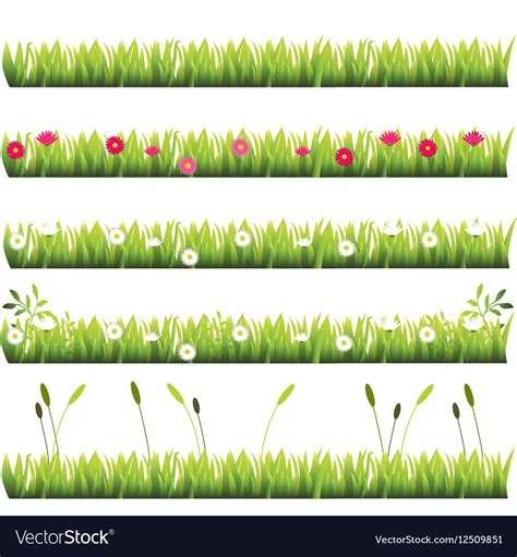 Grass with flowers Royalty Free Vector Image - VectorStock