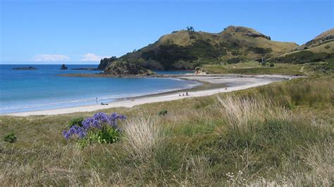 Medlands Beach conservation campsite: Great Barrier Island Aotea ...