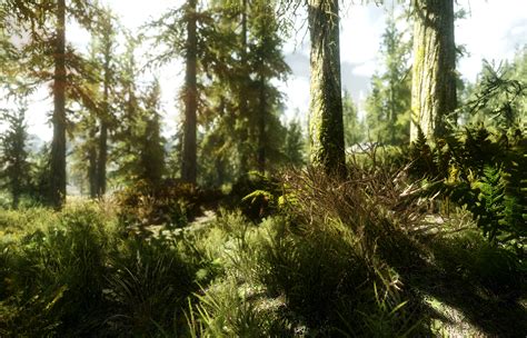 New ENB Skyrim Mod Shows Glimpses of Next Gen Graphics