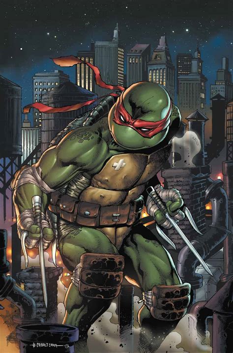 Raphael (IDW) | TMNTPedia | Fandom