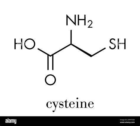 Disulfide bond Black and White Stock Photos & Images - Alamy