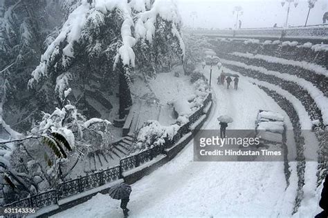 474 Heavy Snowfall In Shimla Stock Photos, High-Res Pictures, and ...