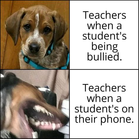 Good dog? : r/memes