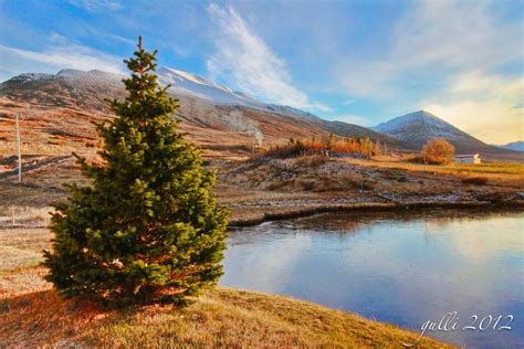 A Christmas Tree? Iceland, My Hometown Ólafsfjord by Gunnlaugur Jónsson ...