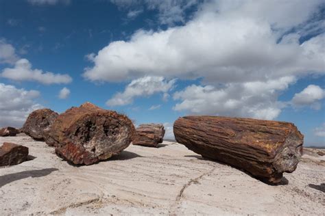 Petrified Forest National Park and the Painted Desert Arizona- The ...