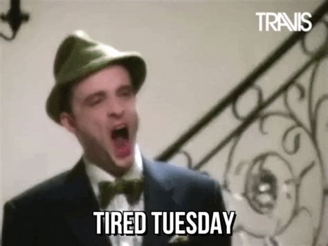 Tuesday-meme GIFs - Get the best GIF on GIPHY