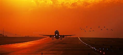 Plane Landing At Sunset