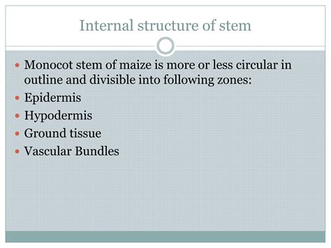 SOLUTION: Plant anatomy internal structure of stem - Studypool