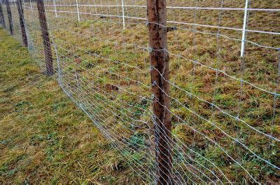 If you need Barbed Wire Fence in Kingston or areas close by allow us to ...