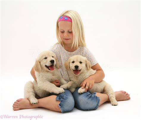 Girl with Golden Retriever pups photo WP10416