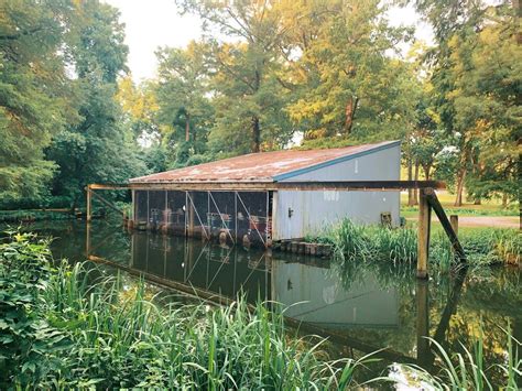 Reelfoot Lake State Park | State parks, Congaree national park, Lake