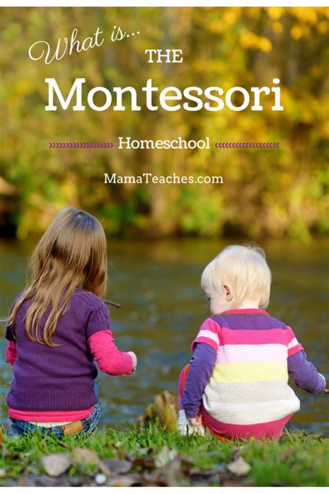 What is the Montessori Method of Homeschooling? | Montessori homeschool ...