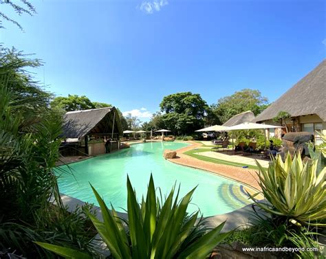 Mabula Game Lodge Review - In Africa and Beyond